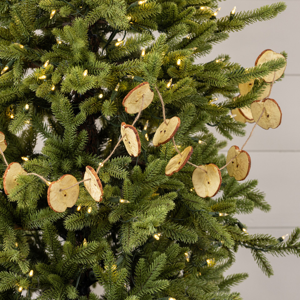 5' APPLE SLICE GARLAND