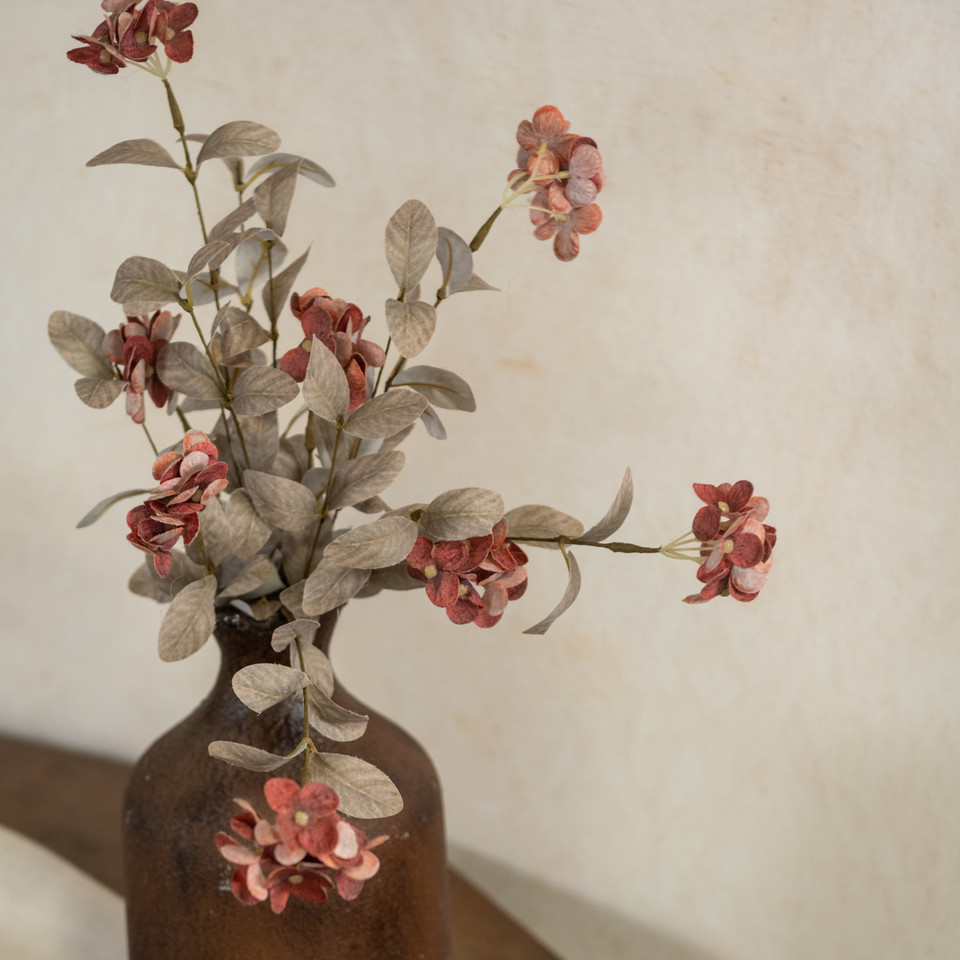 20" BURNT ORANGE HYDRANGEA BUSH
