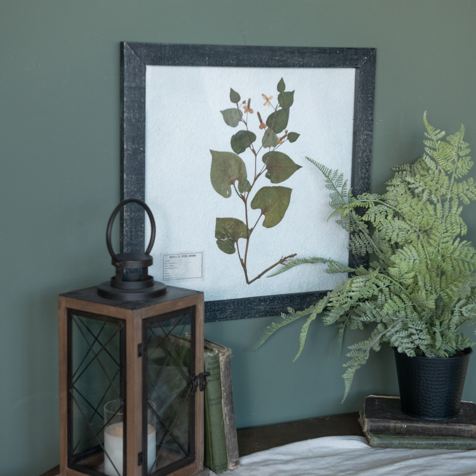 17.75" PRESSED LEAF W/ BLACK FRAME