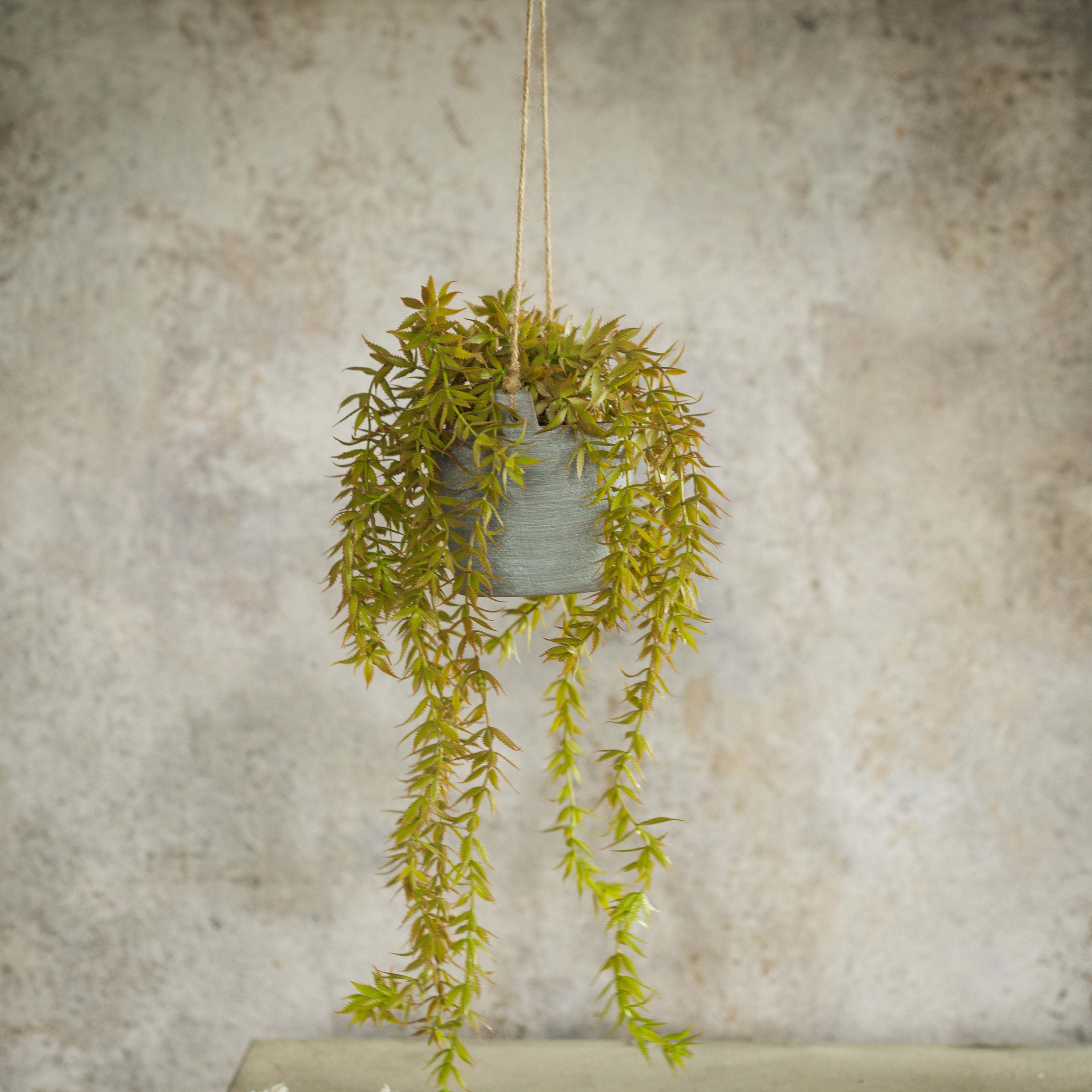 18.5" GREEN & PURPLE WEEPING HANGING POT