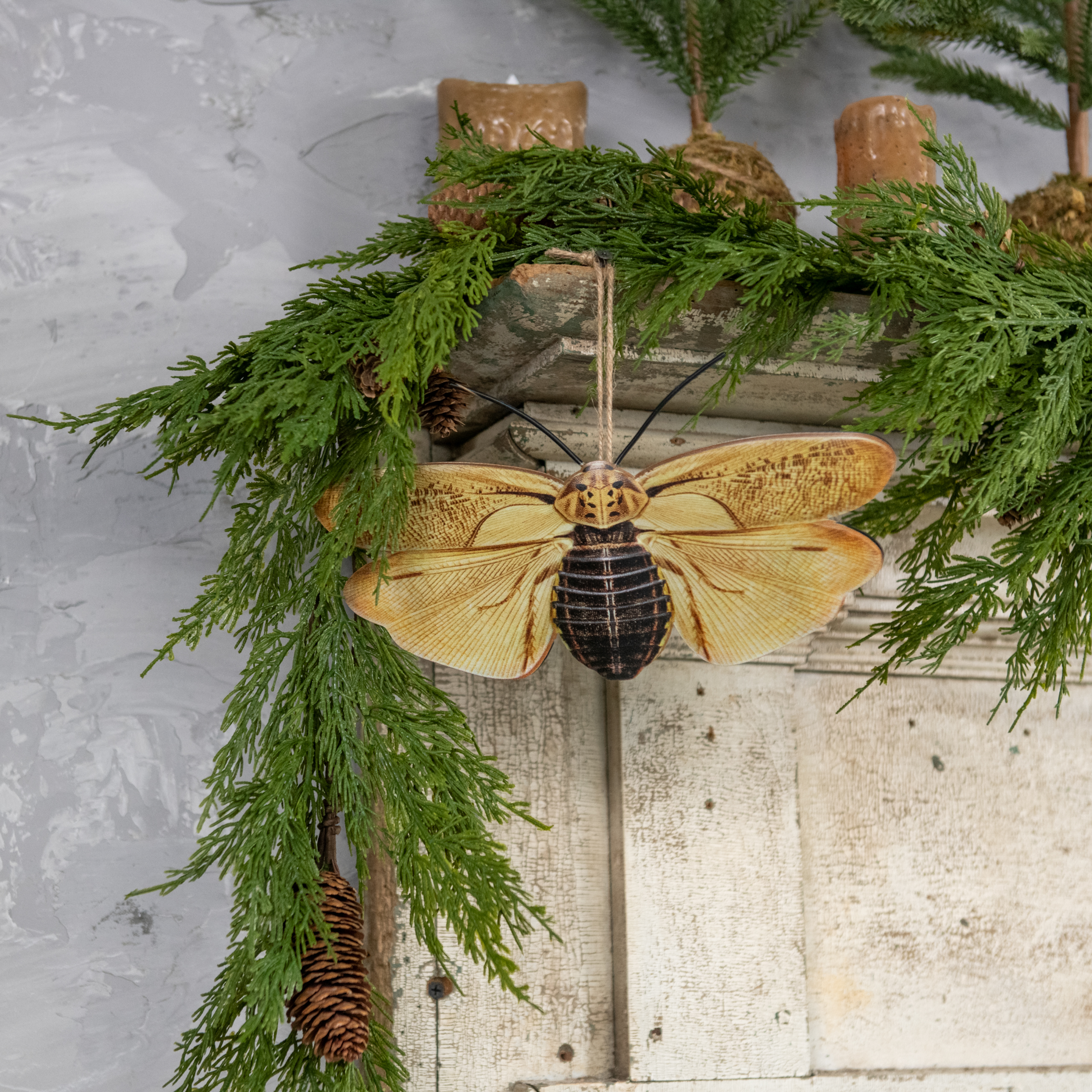 10" CREAM & BLACK MOTH