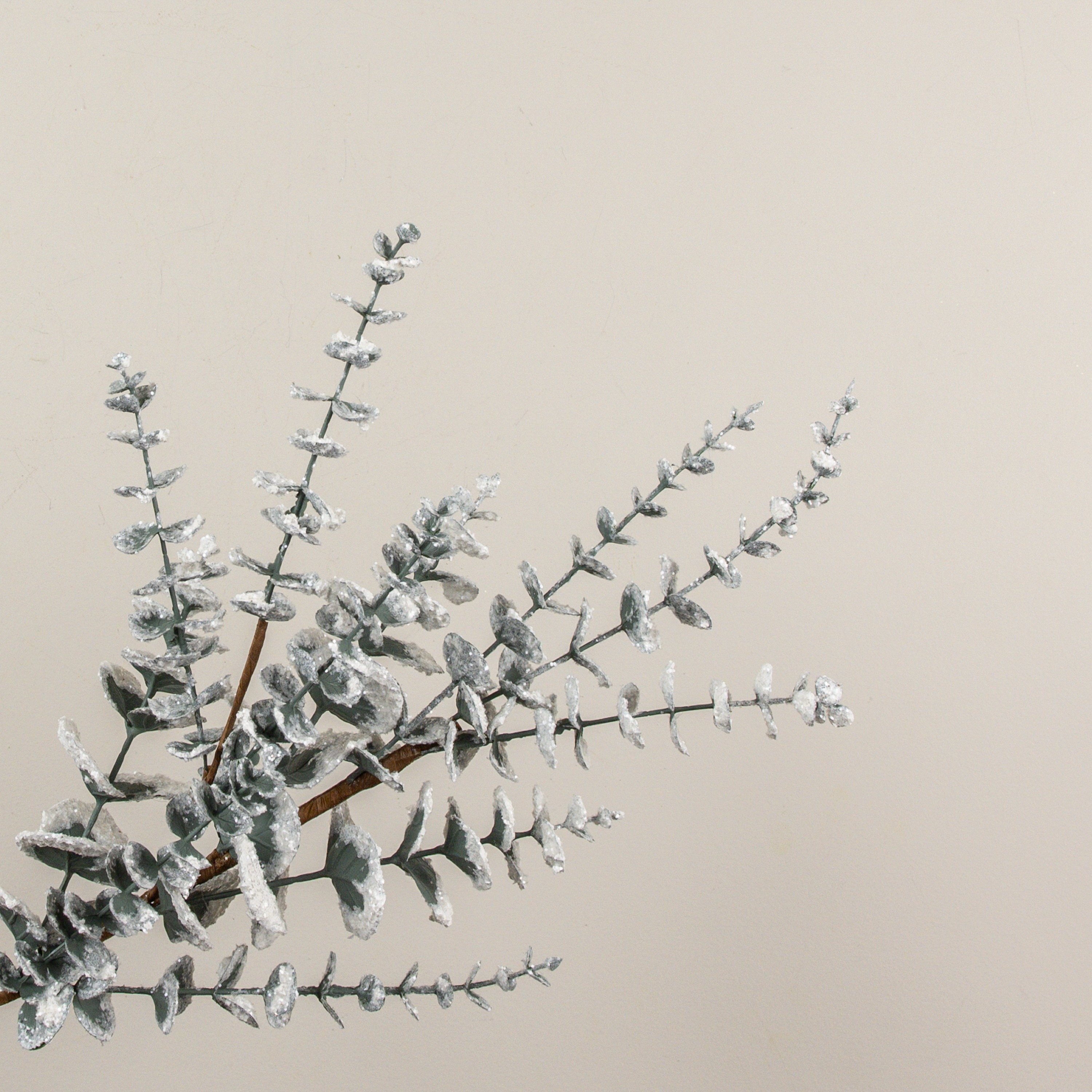 26" SNOWY EUCALYPTUS SPRAY