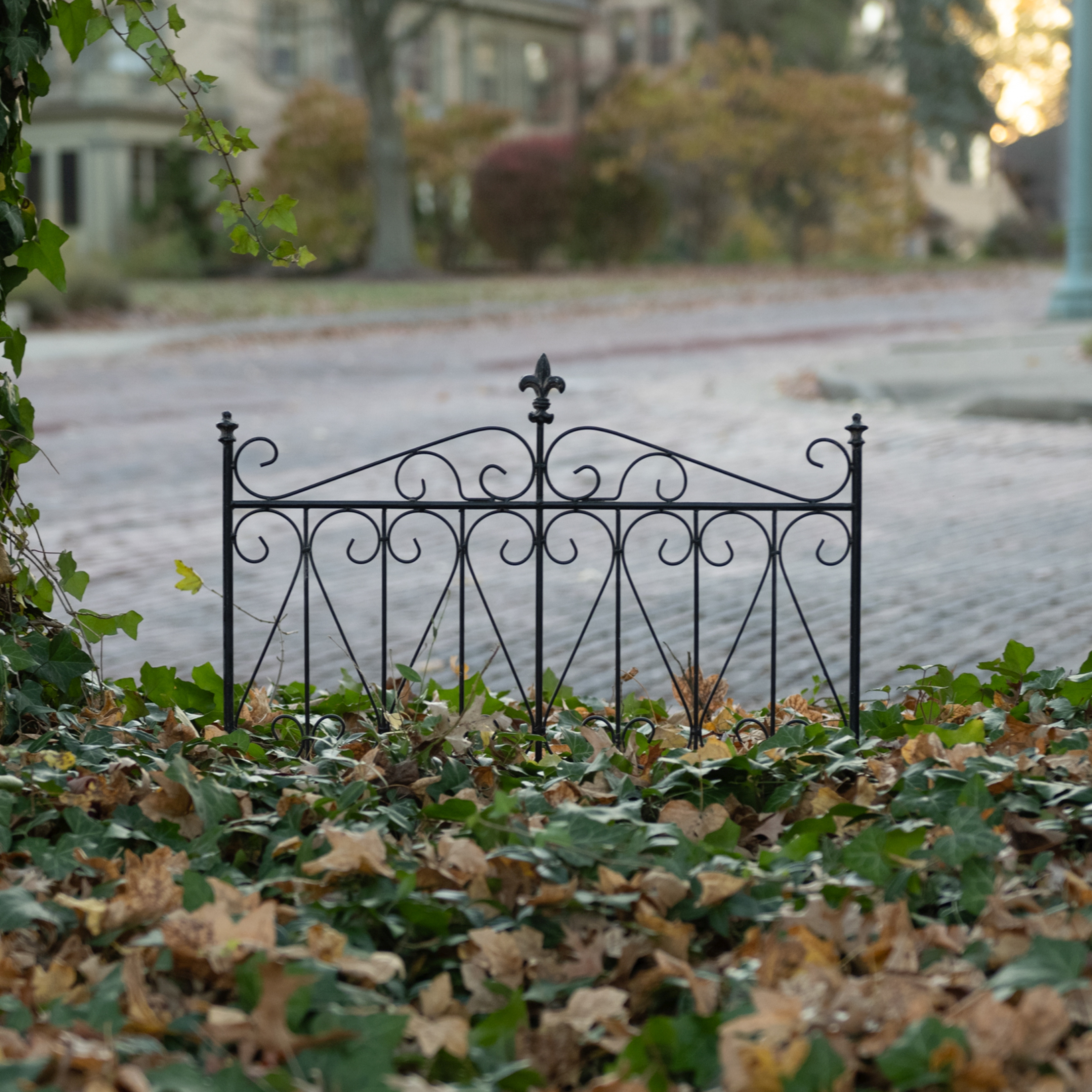 25.5" AGED BLACK GARDEN GATE