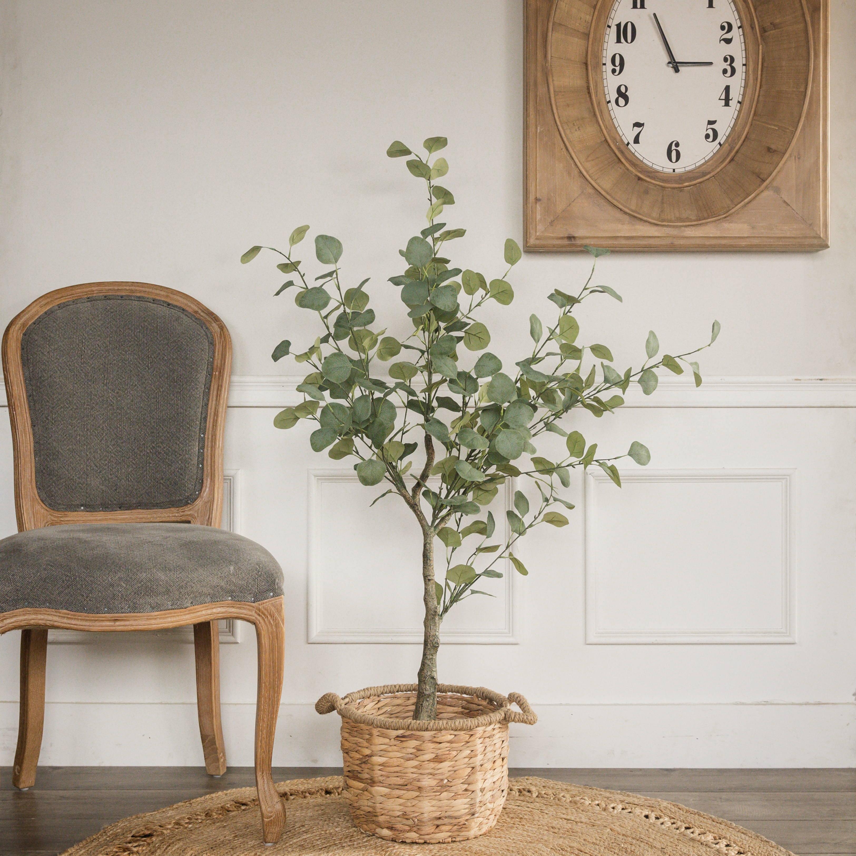 4.25' EUCALYPTUS TREE