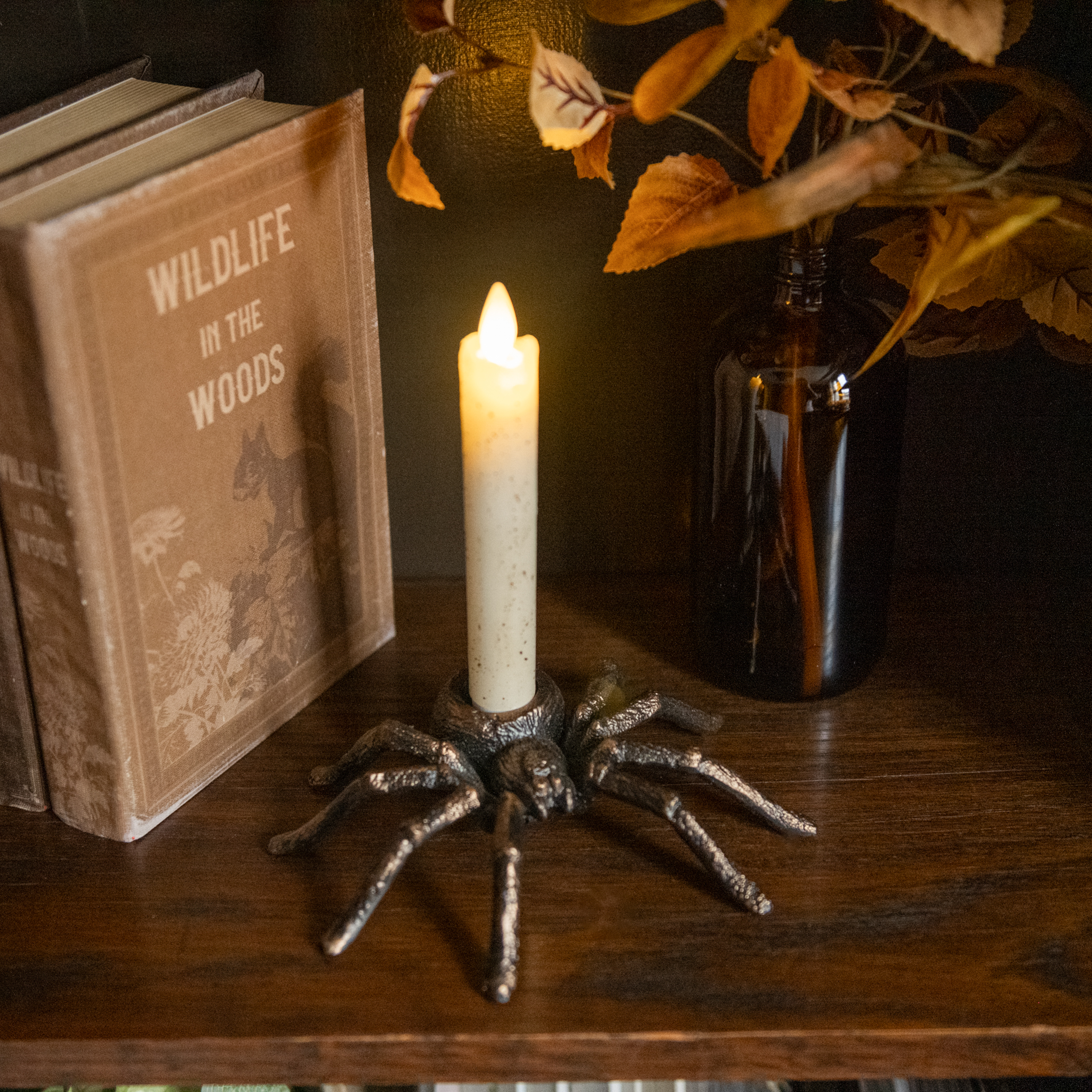 TARANTULA TAPER CANDLE HOLDER