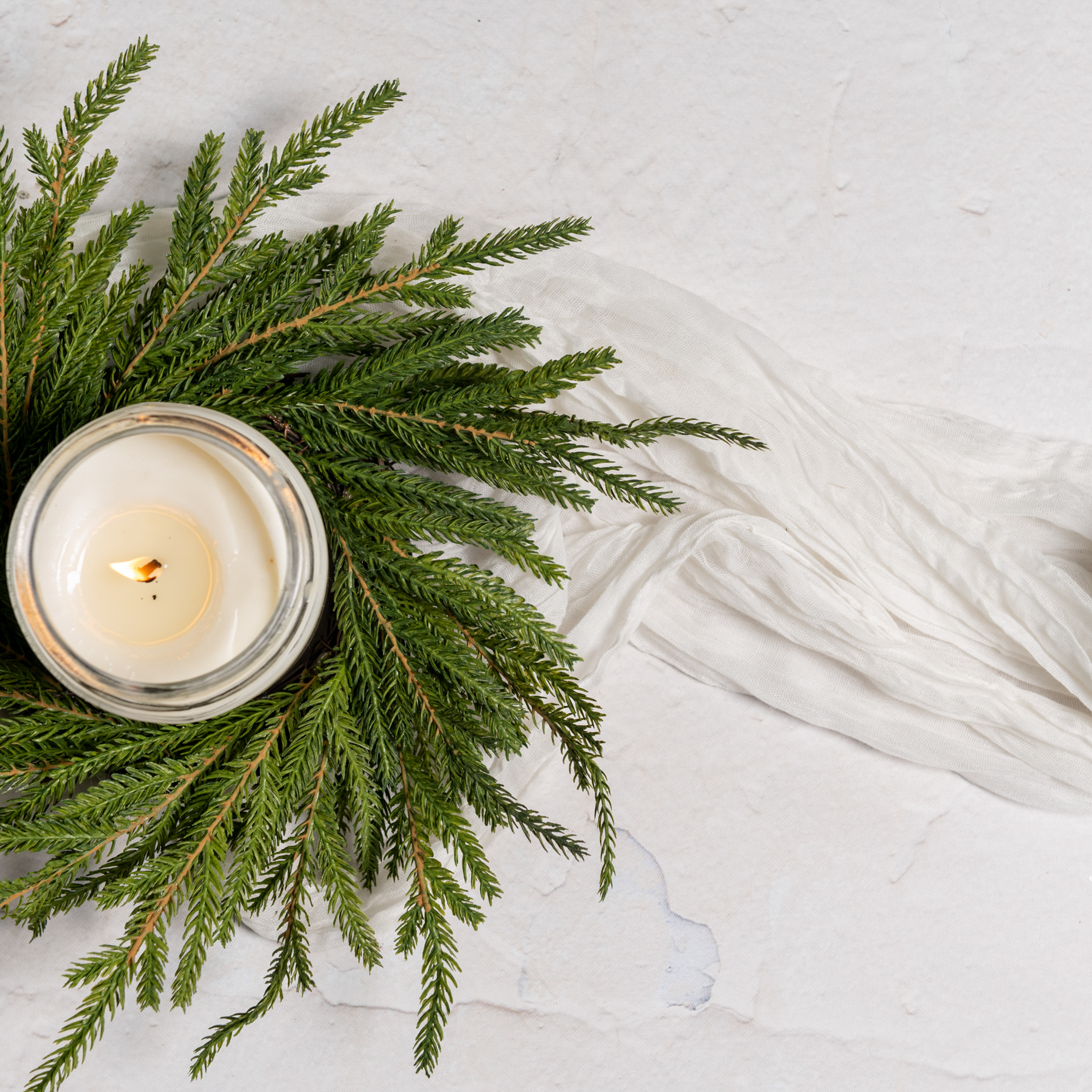 12" SOFT TOUCH NORFOLK PINE CANDLE RING