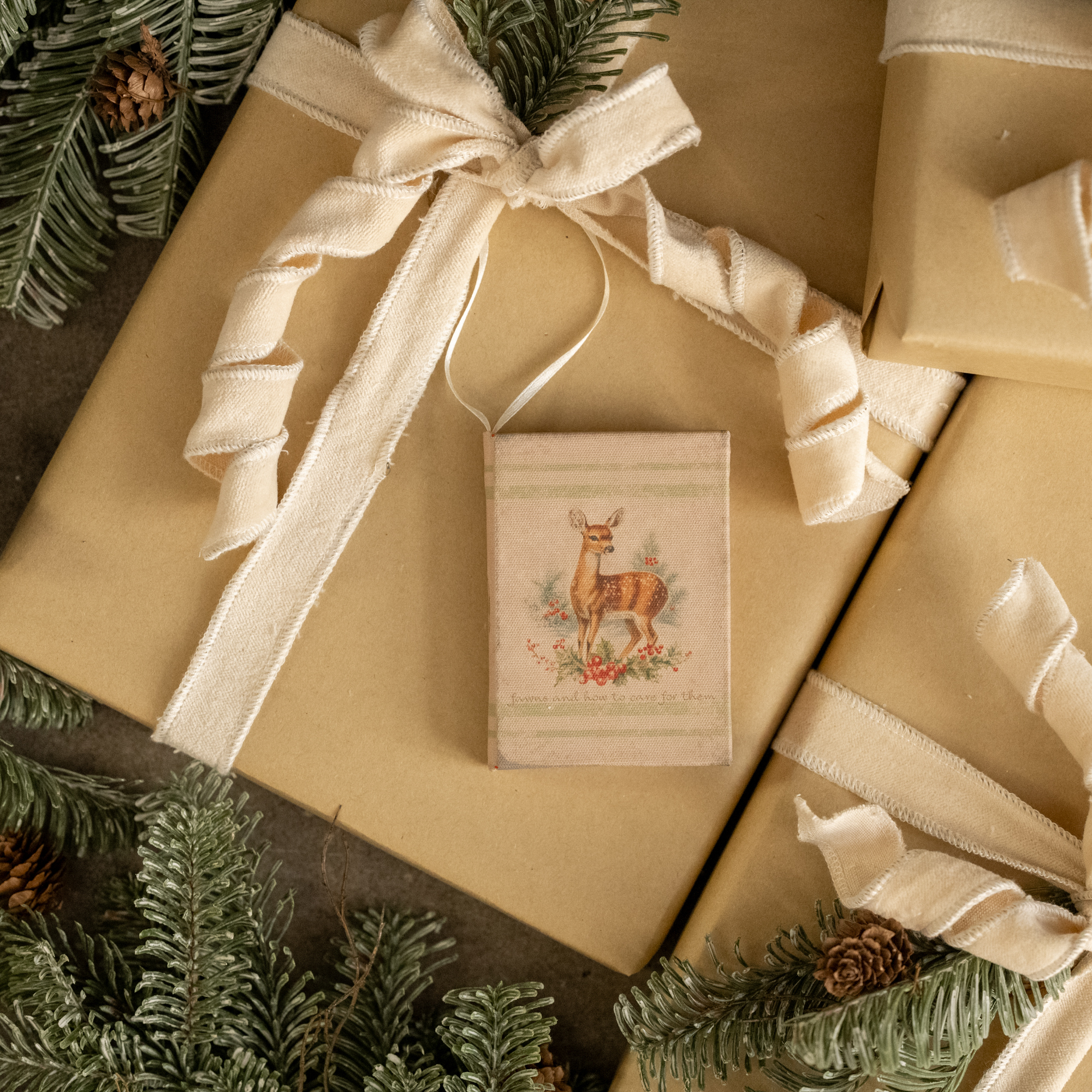 FAWNS AND HOW TO CARE FOR THEM JOURNAL ORNAMENT