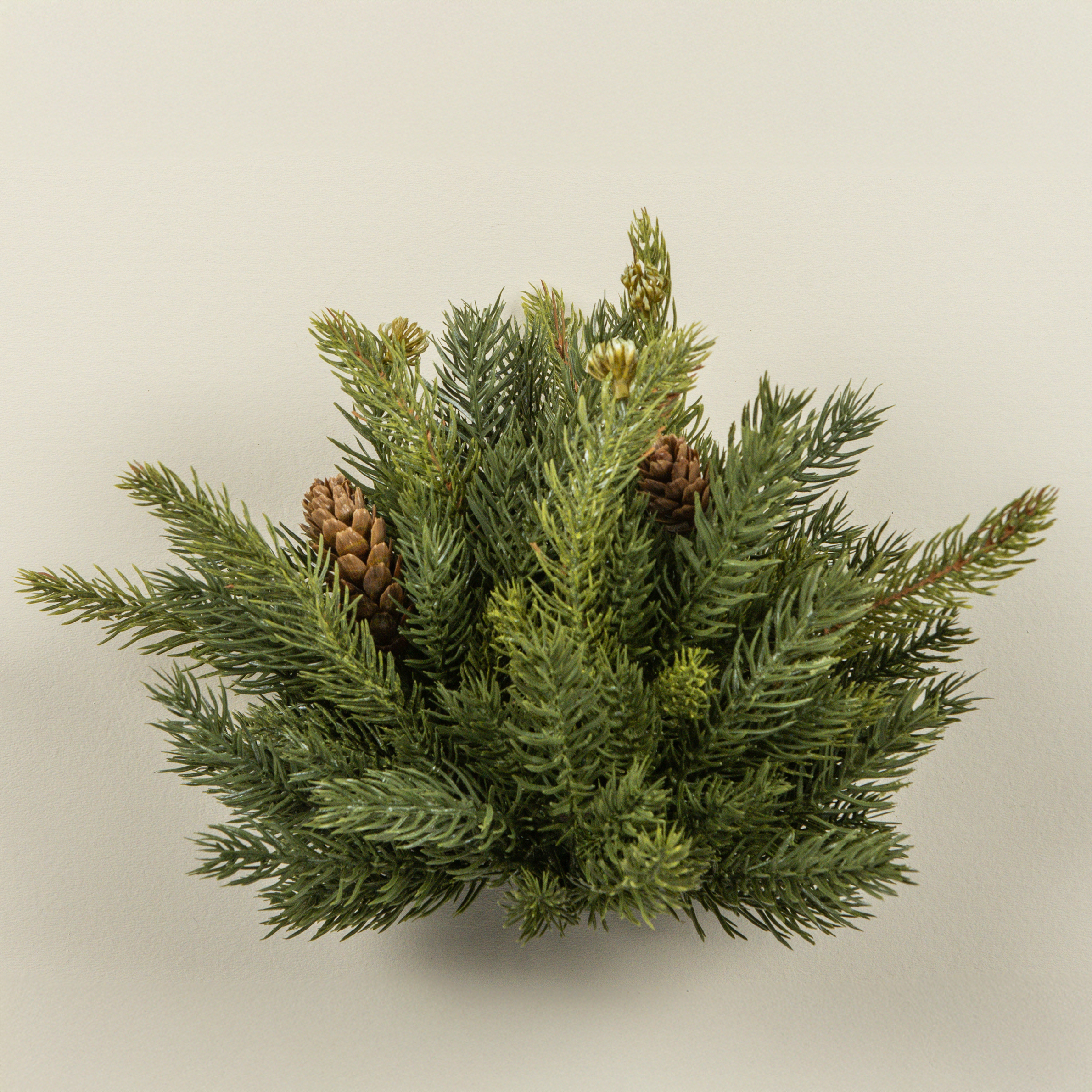 9" WHITE SPRUCE HALF BALL W/ MINI PINECONES