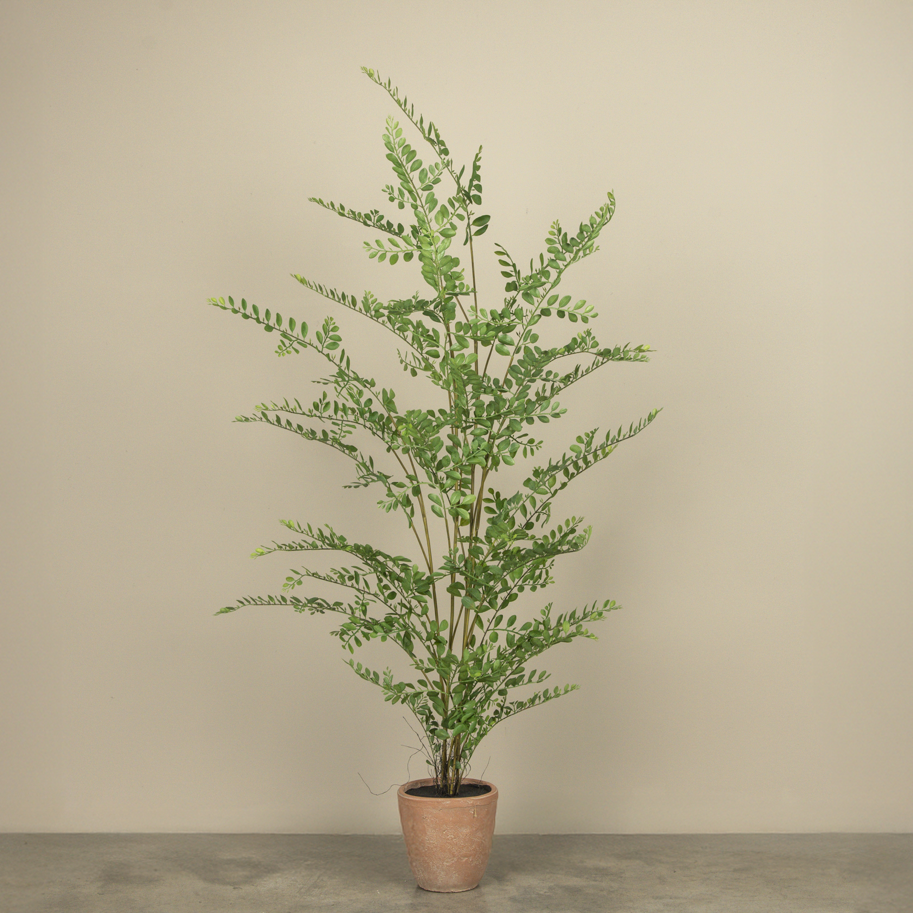 5' POTTED WOODY TREE