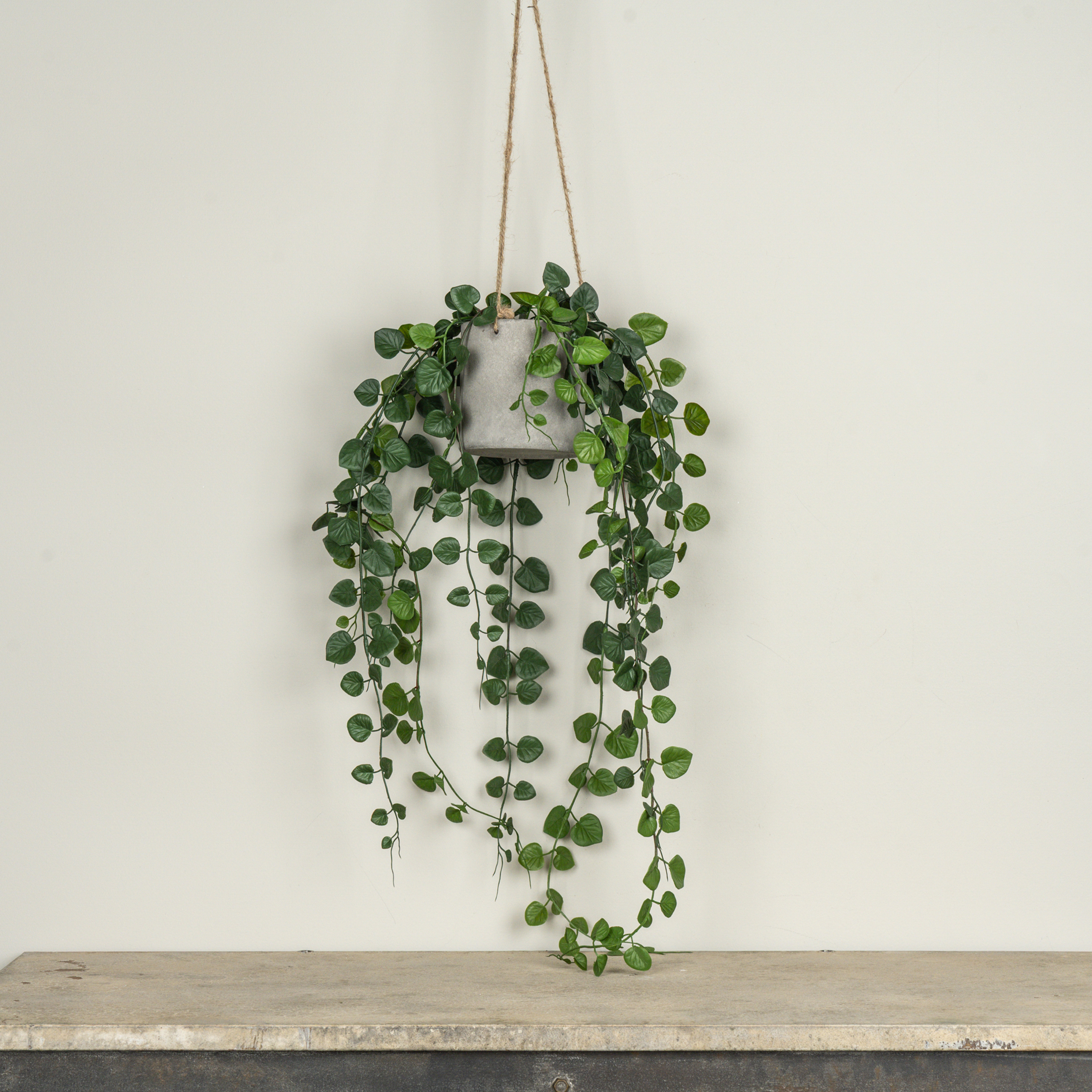 29" HANGING POTTED BUTTON FERN