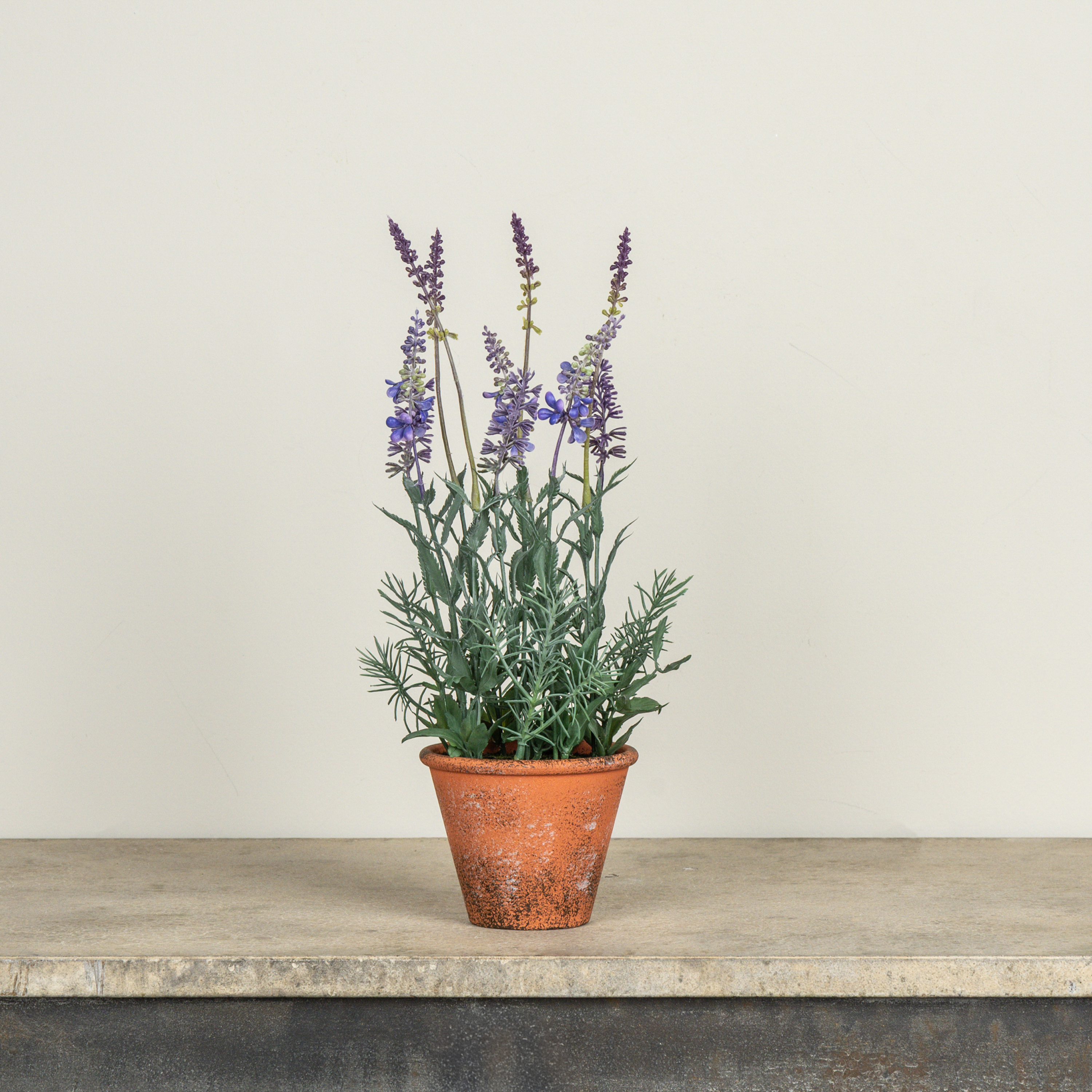 15" POTTED LAVENDER