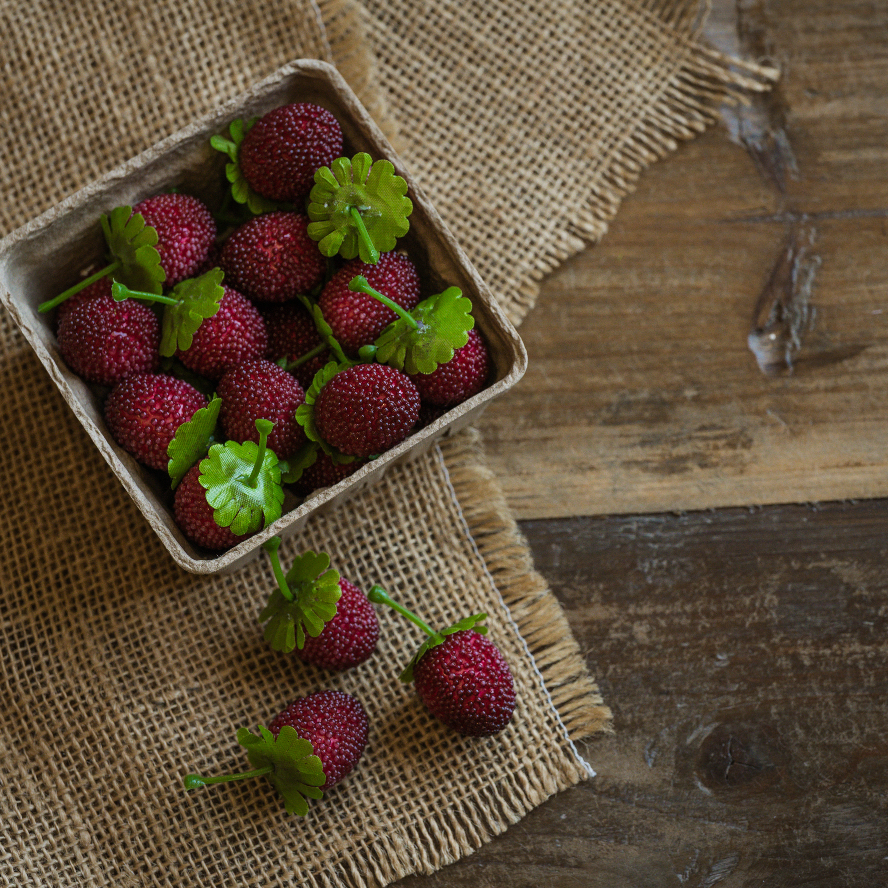CARTON OF RASPBERRIES