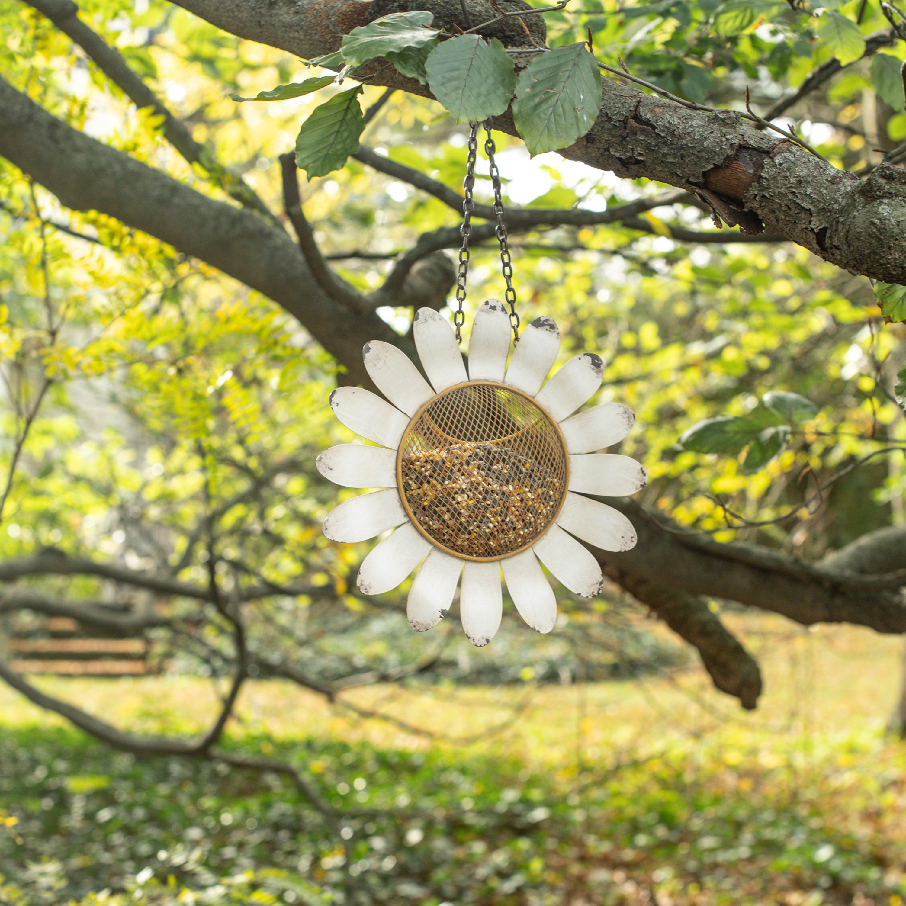 10.25" HANGING DAISY BIRD FEEDER