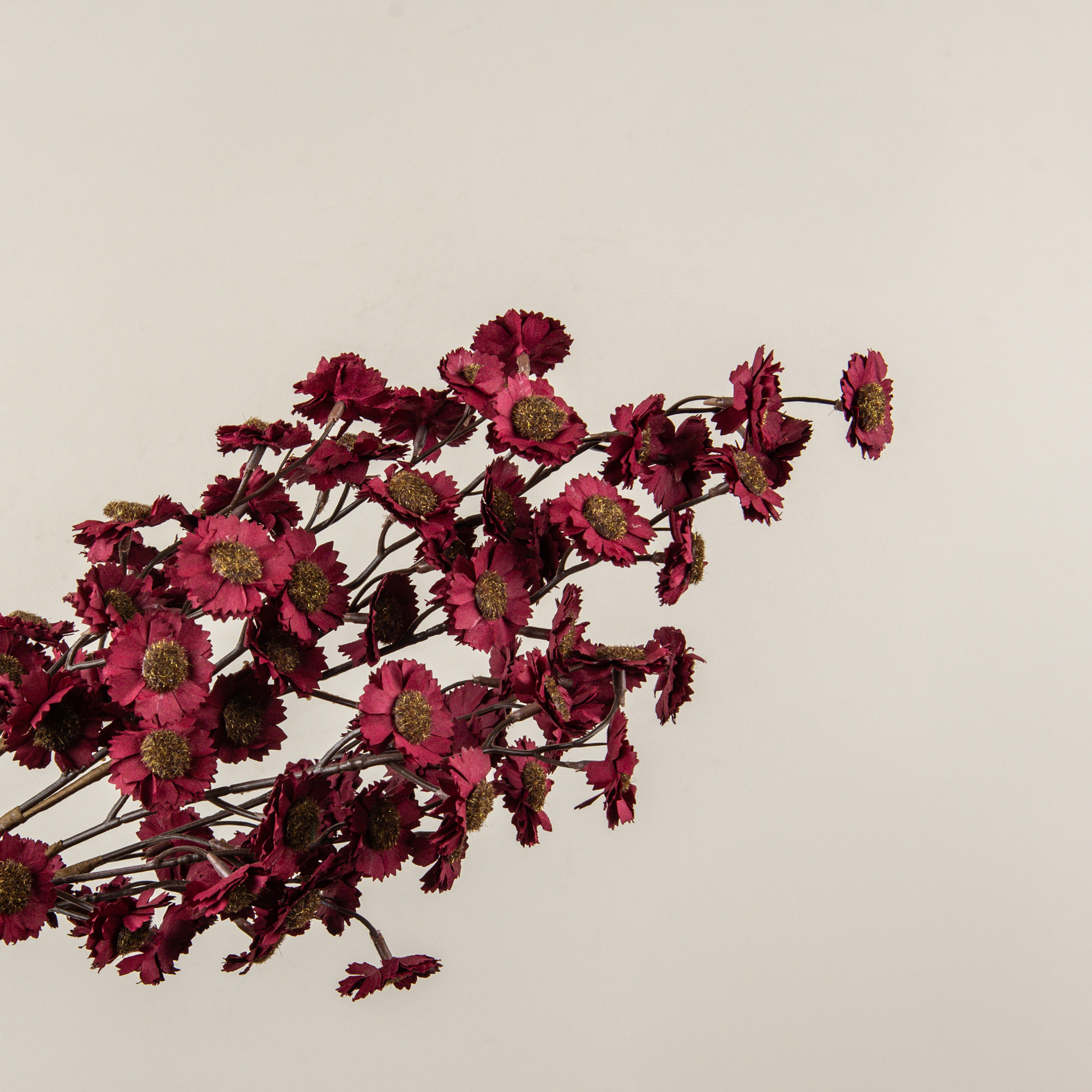 22" BURGUNDY MINI DAISY BUSH