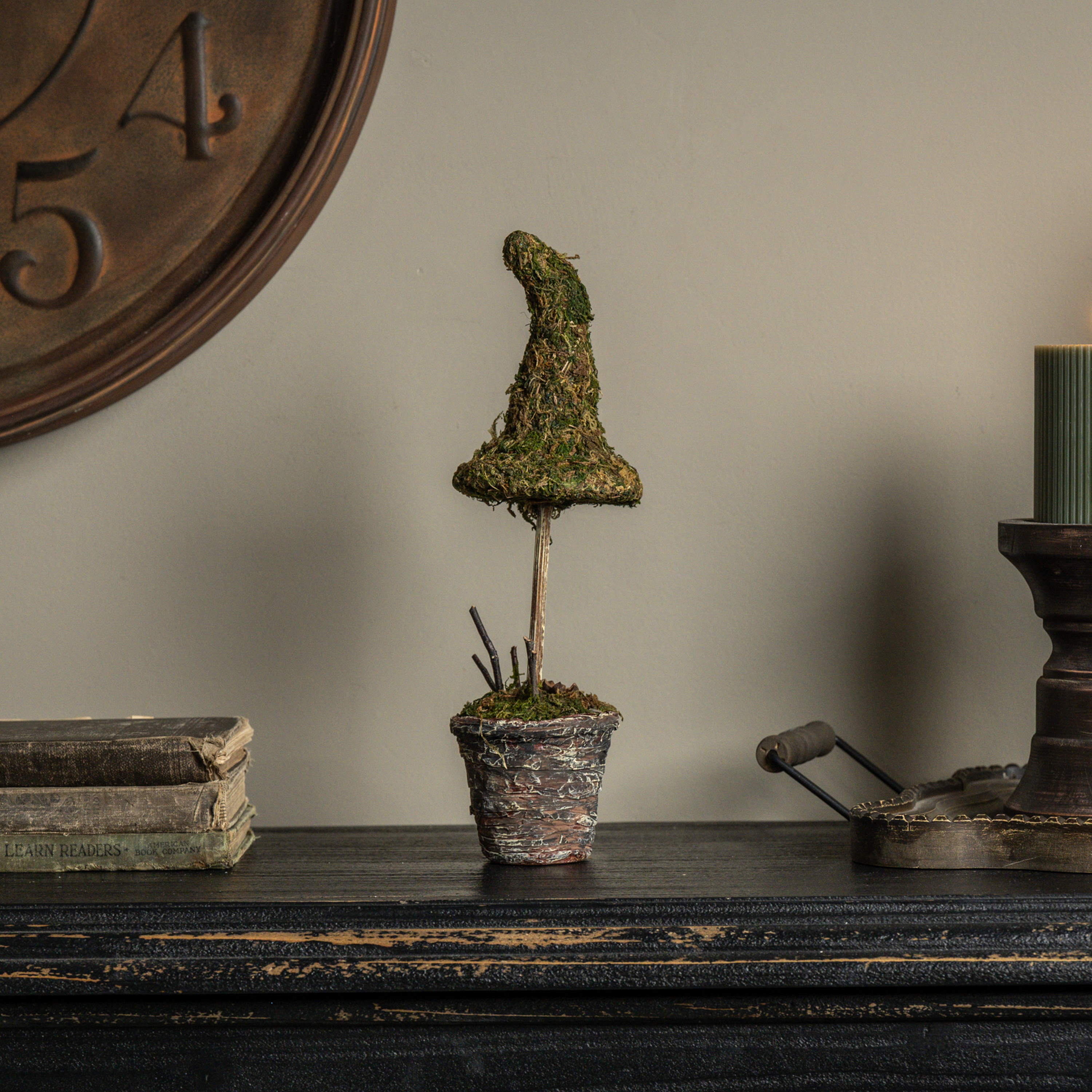 12" POTTED  MOSS WITCH'S HAT