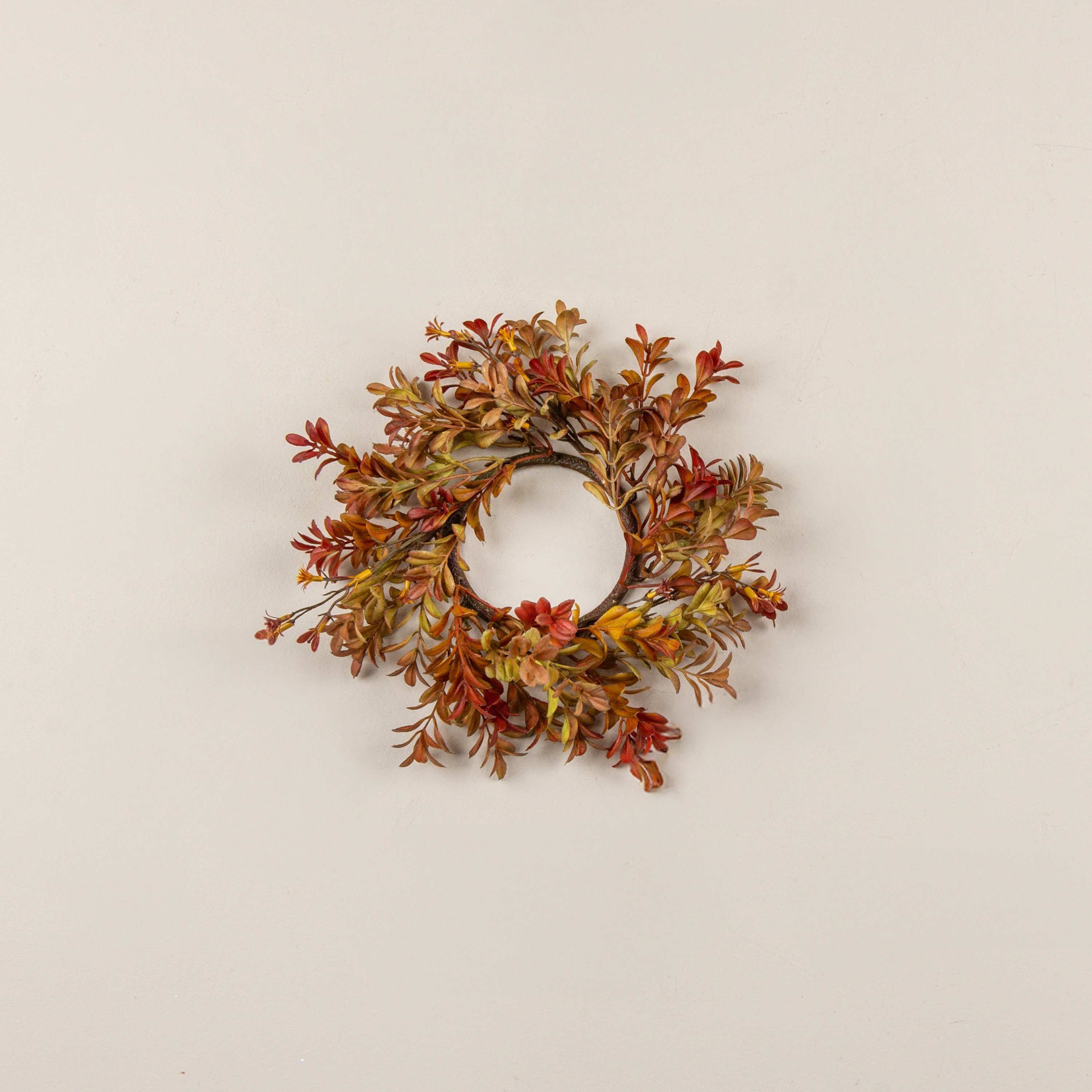 9.5" WOODLAND BOXWOOD & RAGWORT CANDLE RING