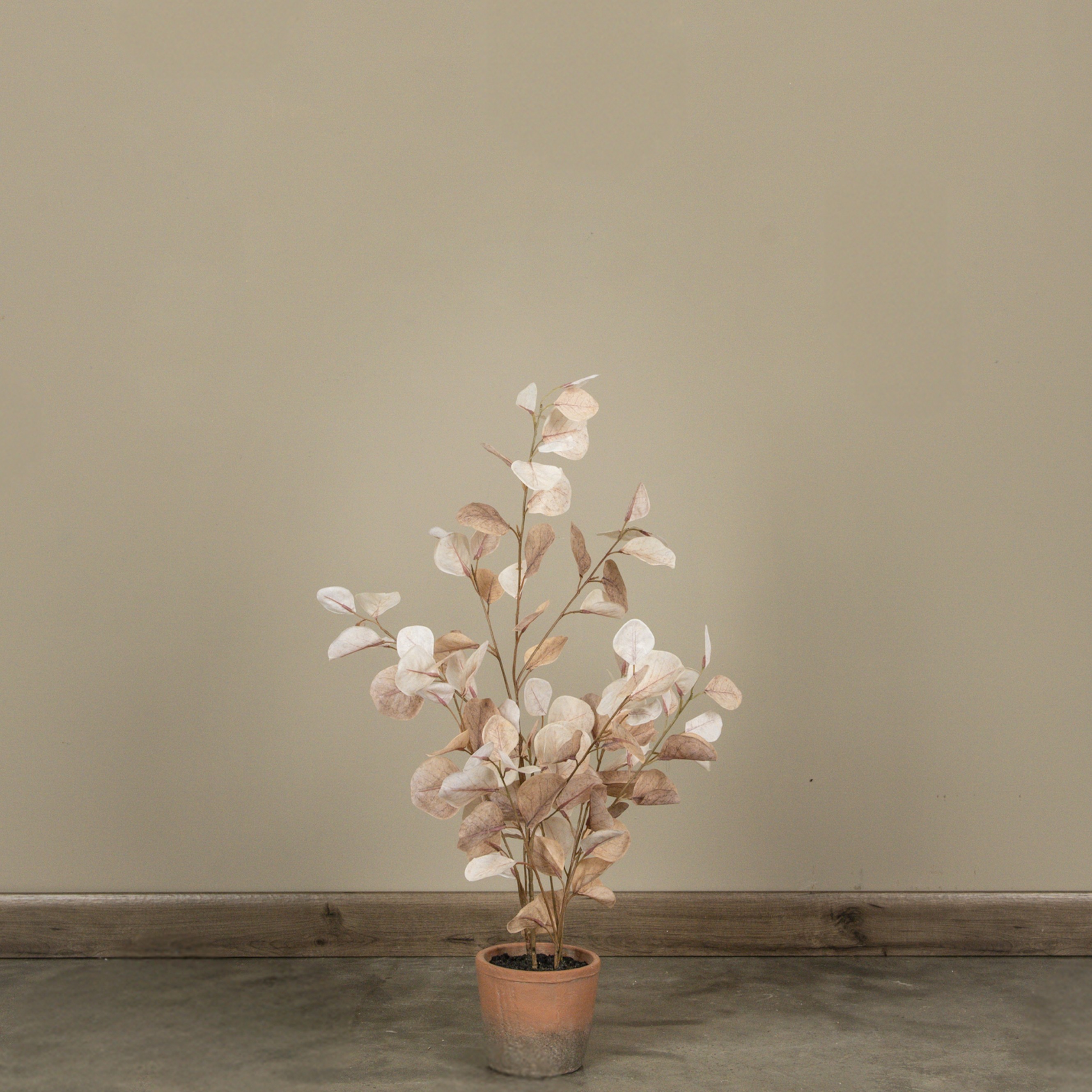 30.75" BROWN EUCALYPTUS TREE