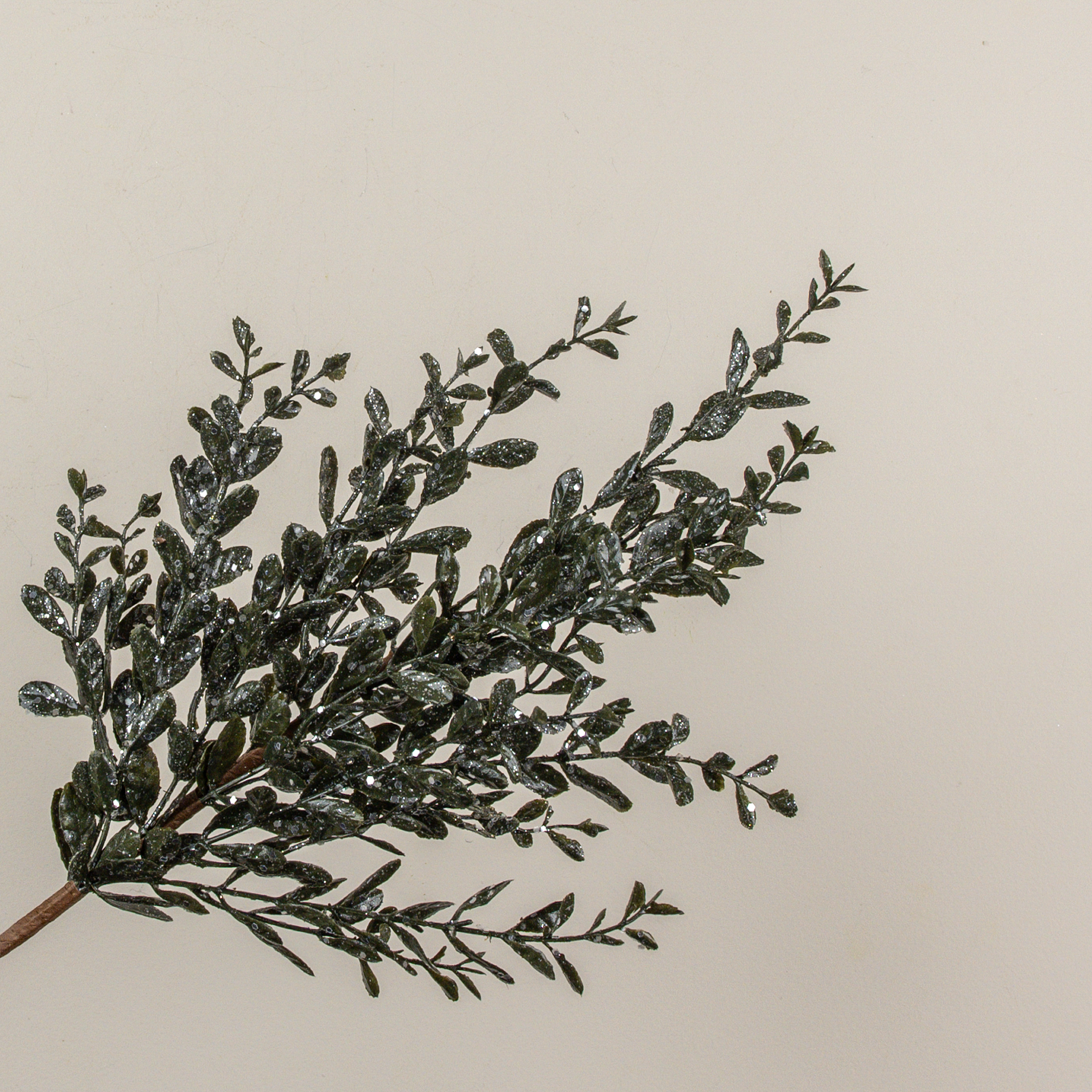 28" GLITTERED RUSCUS SPRAY