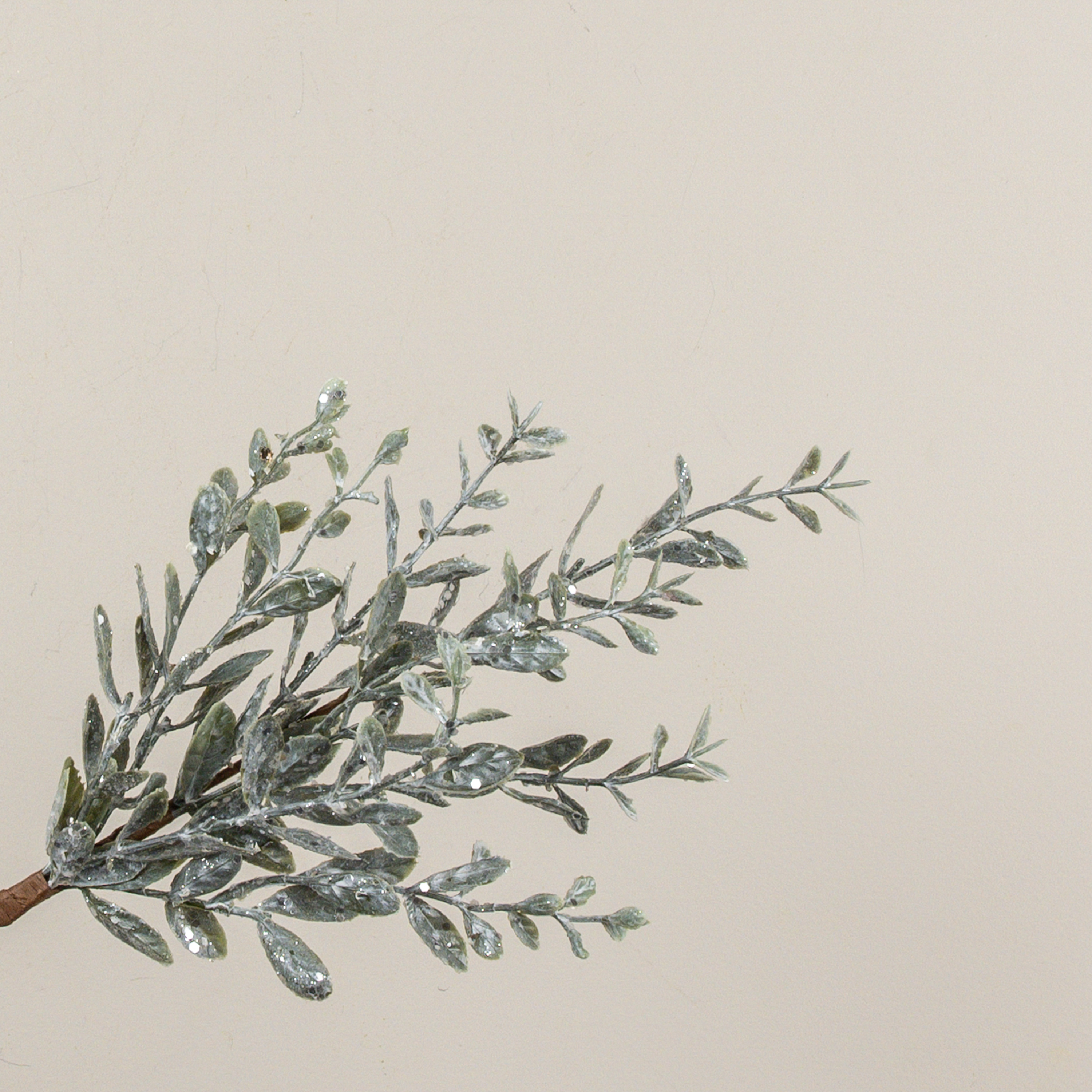 16" GLITTERED SAGE RUSCUS PICK