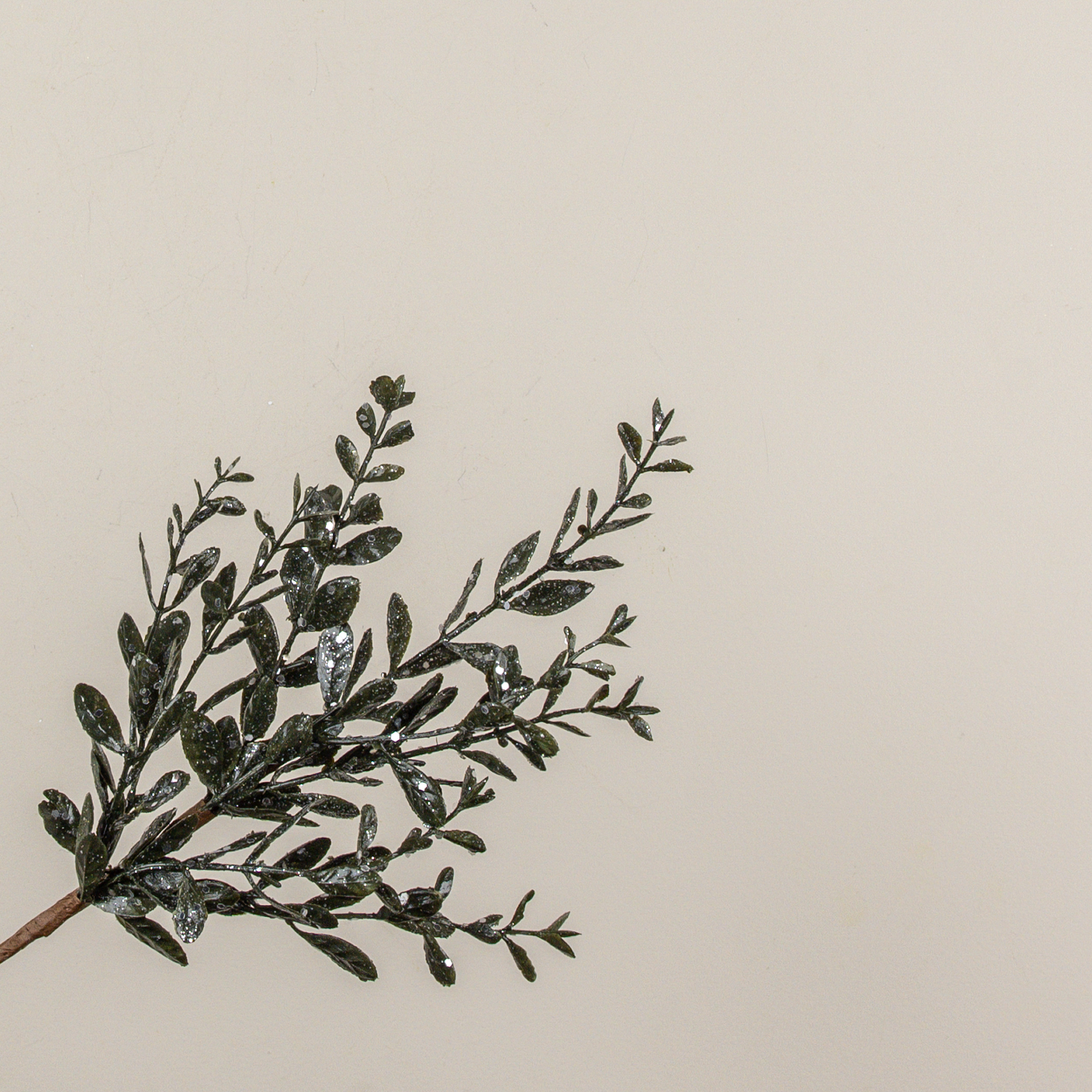 16" GLITTERED RUSCUS PICK