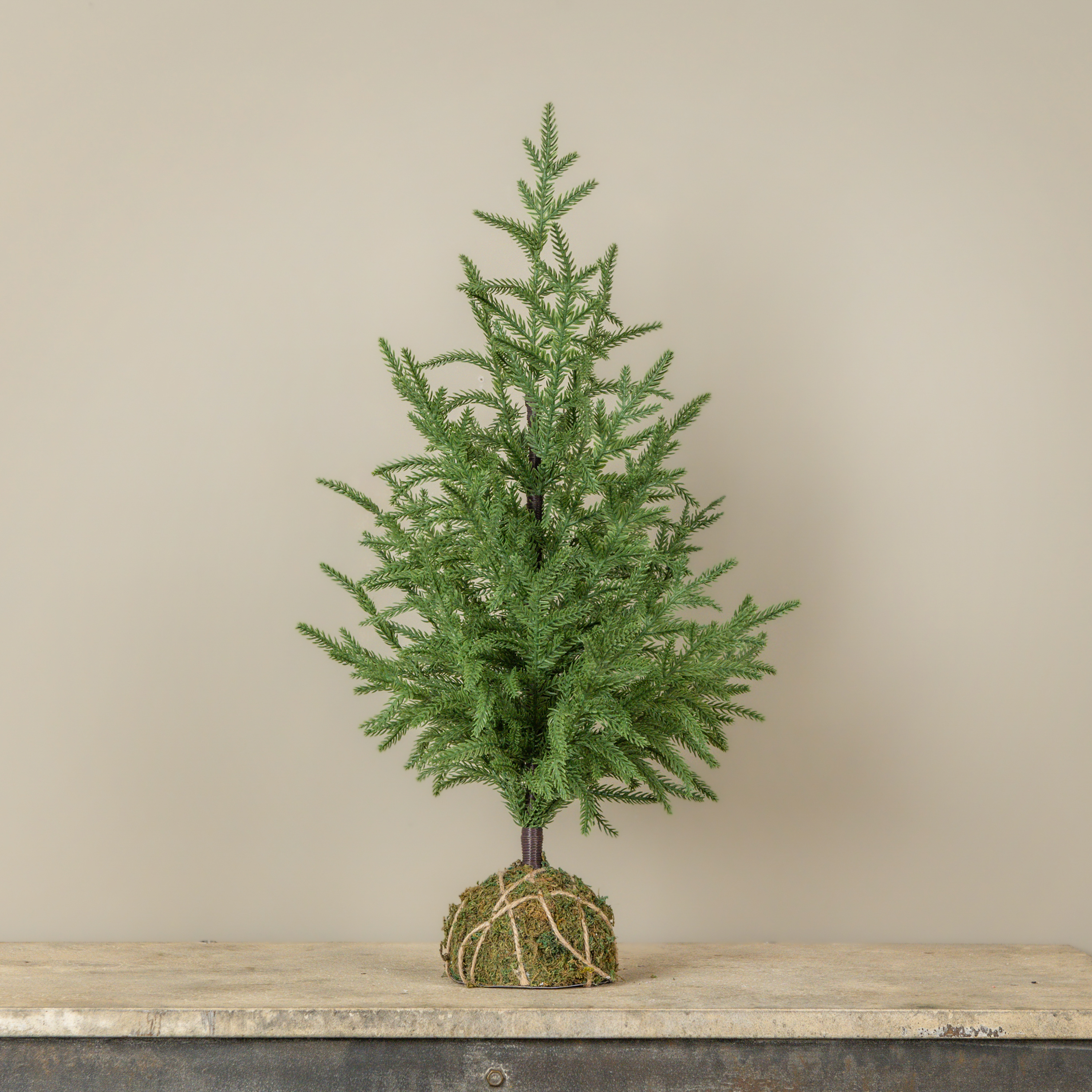 2' SOFT TOUCH AULSTRALIA PINE TREE W/ MOSS BASE