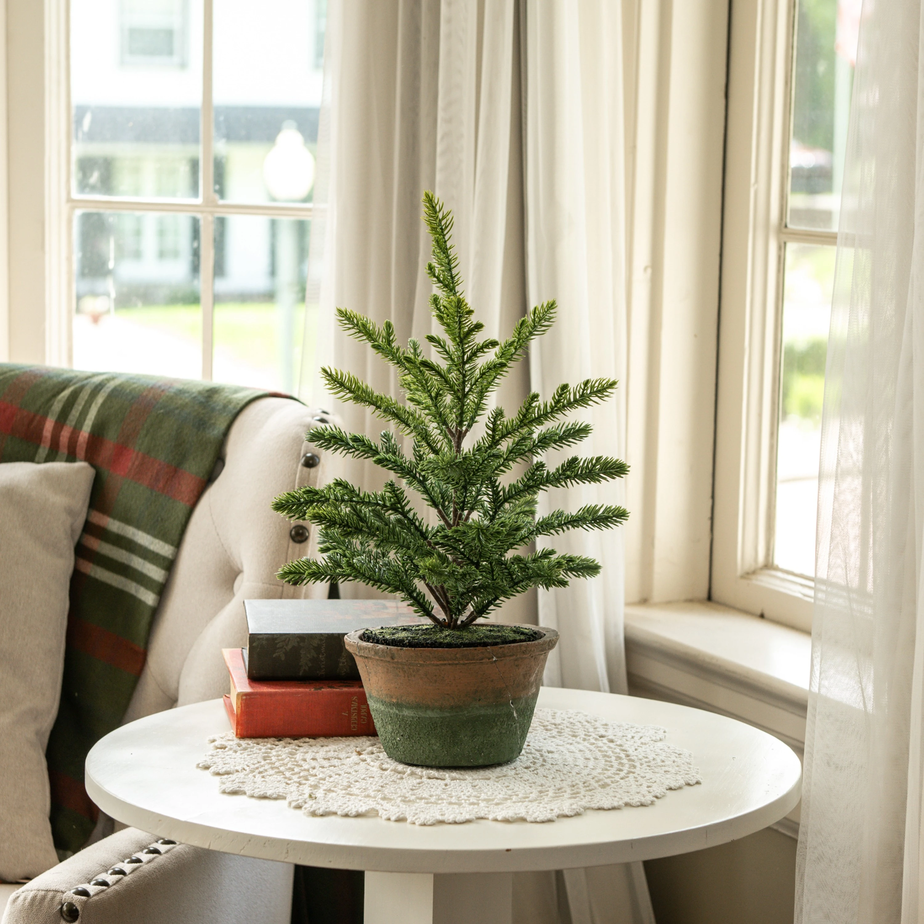 16" PERCY PINE TREE IN POT