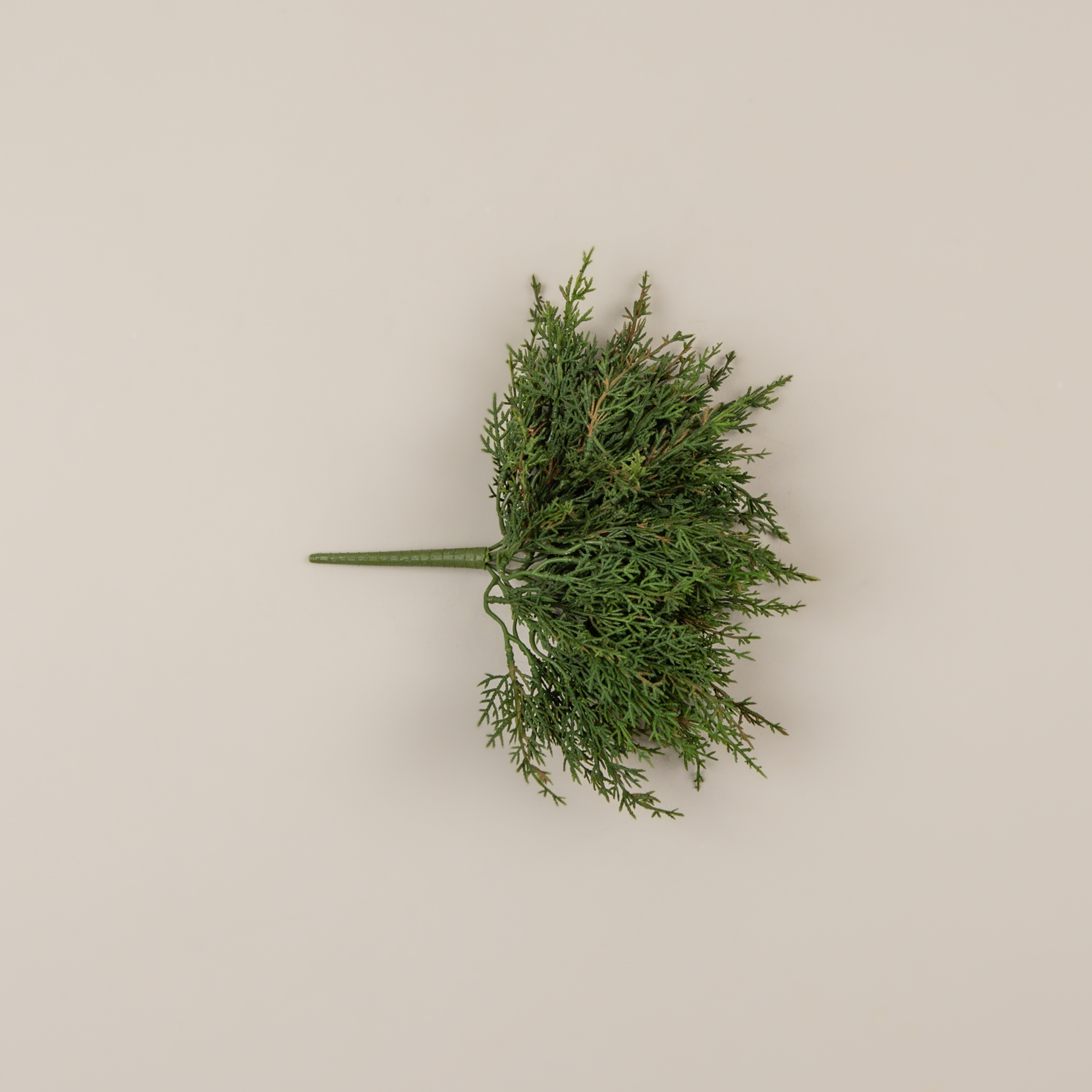12" JUNIPER BUSH