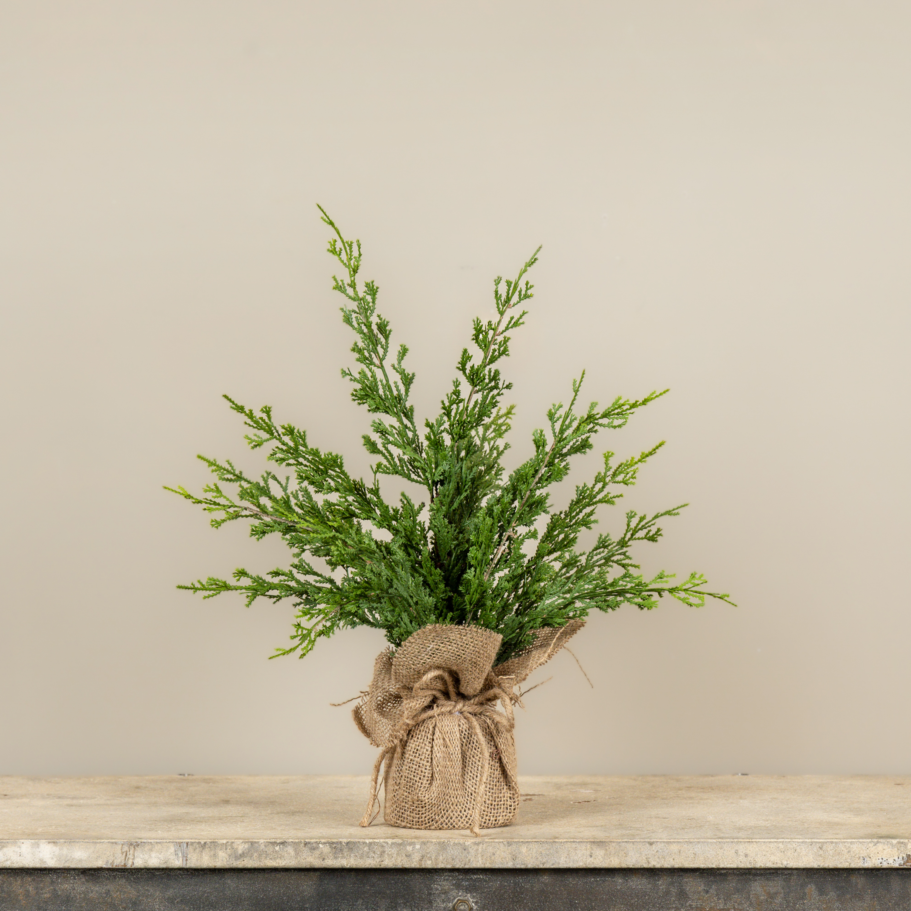 18" CYPRESS & RUSCUS TREE W/ BURLAP BASE