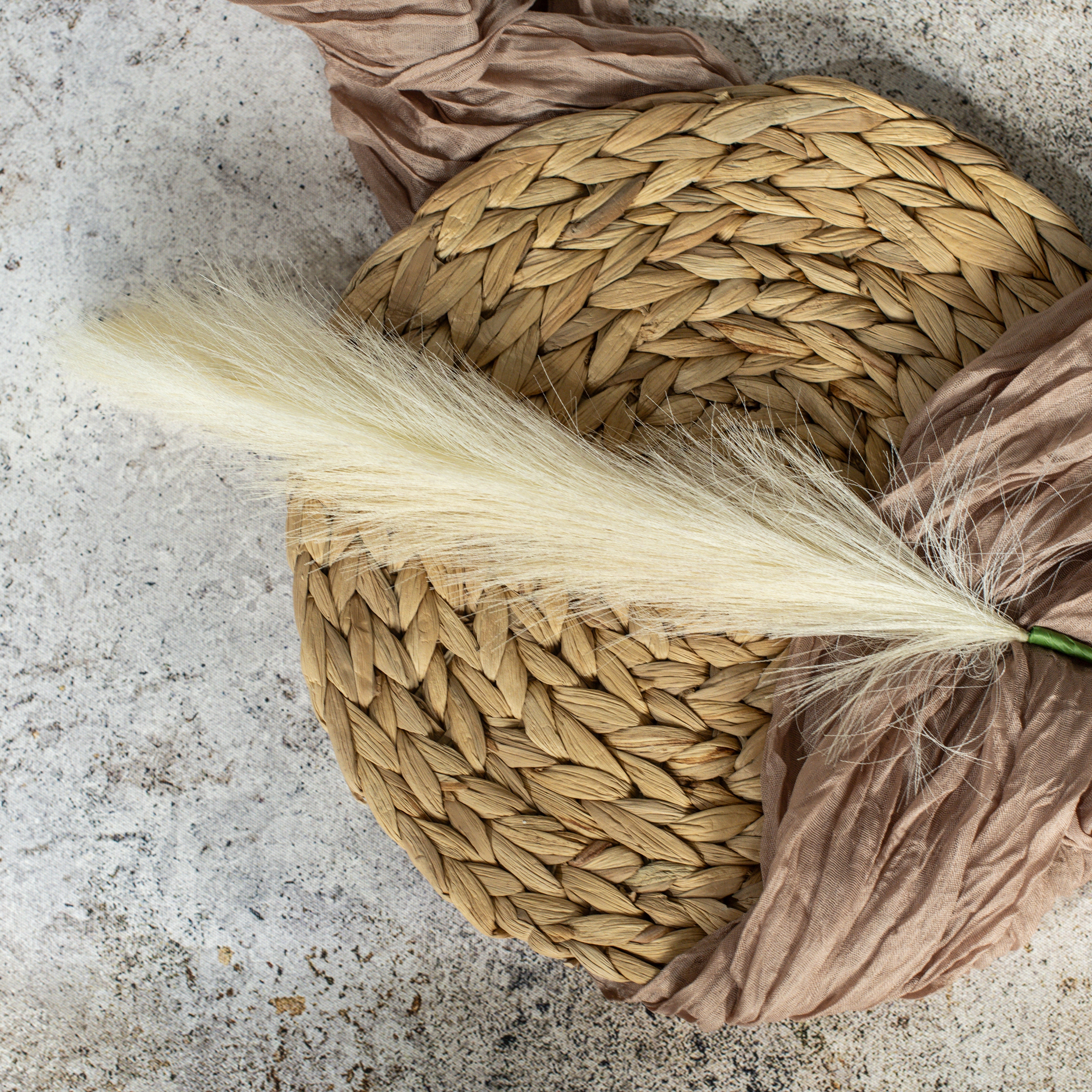 32" PAMPAS GRASS STEM