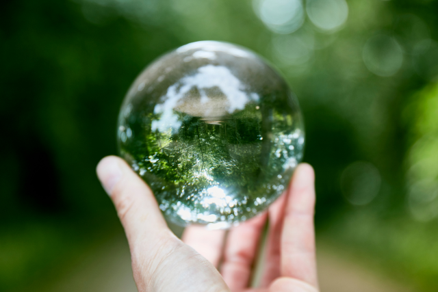 Gender X in 2050: What’s Next?