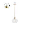 1 Light Pendant Carlissa 1 Light Pendant Carlissa