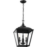 Dame - 3 Light Pendant In Homestead Style-19.5 Inches Tall and 12.5 Inches Wide