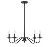 5 Light Chandelier-7 Inches Tall and 28 Inches Wide