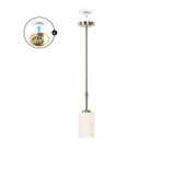 1 Light Pendant Wexton 1 Light Pendant Wexton