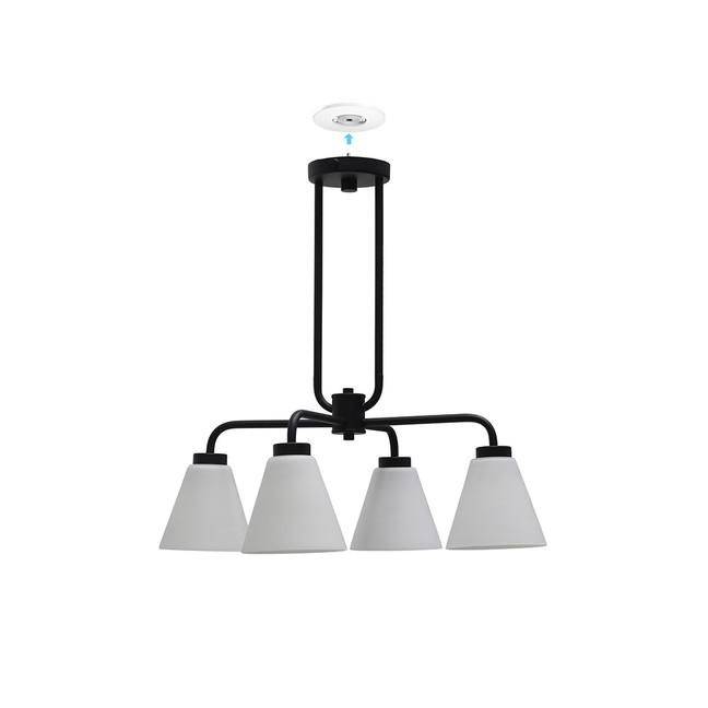 4 Light Chandelier Wynridge 4 Light Chandelier Wynridge