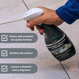 Easy Care Porcelain Cleaner & Sanitiser