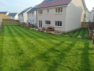 5 Spring Tasks for a Great Lawn