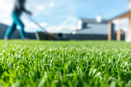 Reviving your lawn after winter