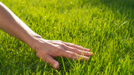 7 Steps to a Summer Ready Lawn