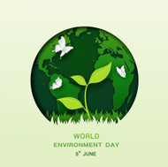 Beat Plastic Pollution: Why Real Turf is the Greener Choice This World Environment Day