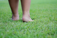 How to Keep your Lawn Green in Summer