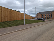 Peacock Turf Used for New Social Housing Site