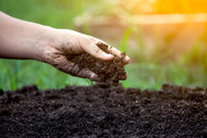 What is PAS100 compost?