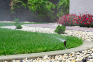 ​Aftercare Tips for Newly Laid Turf