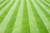 5 Steps to create a stripy lawn