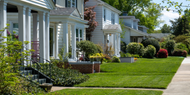 Why More Homeowners Are Choosing Real Turf For Their Gardens