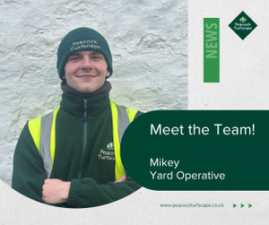 Meet the Team - Mikey