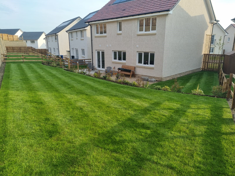 5 Spring Tasks for a Great Lawn 5 Spring Tasks for a Great Lawn