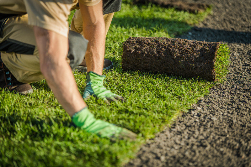 ​Top Tips to Successfully Lay Turf in Summer