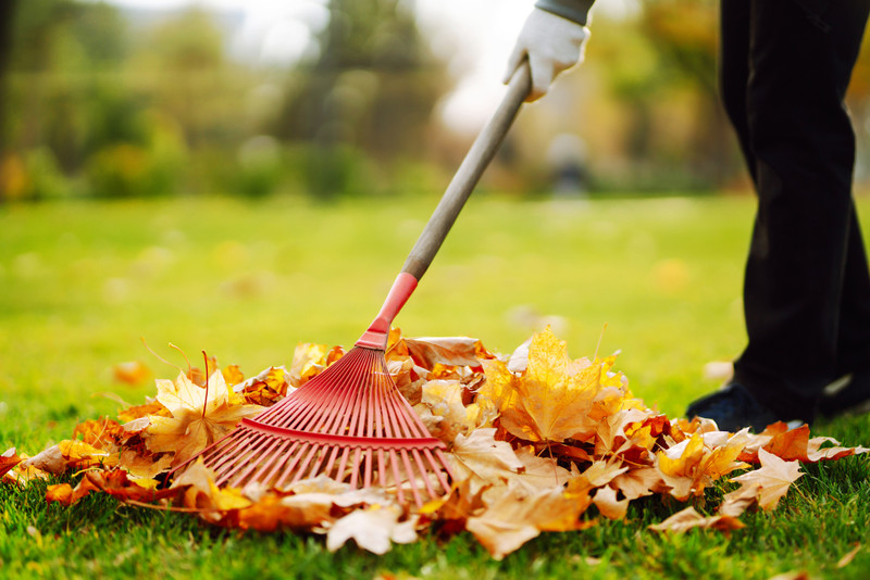 Getting Your Lawn Ready for Winter in 3 Easy Steps
